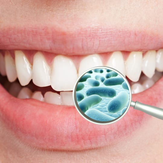 microscopic bacteria on teeth 
